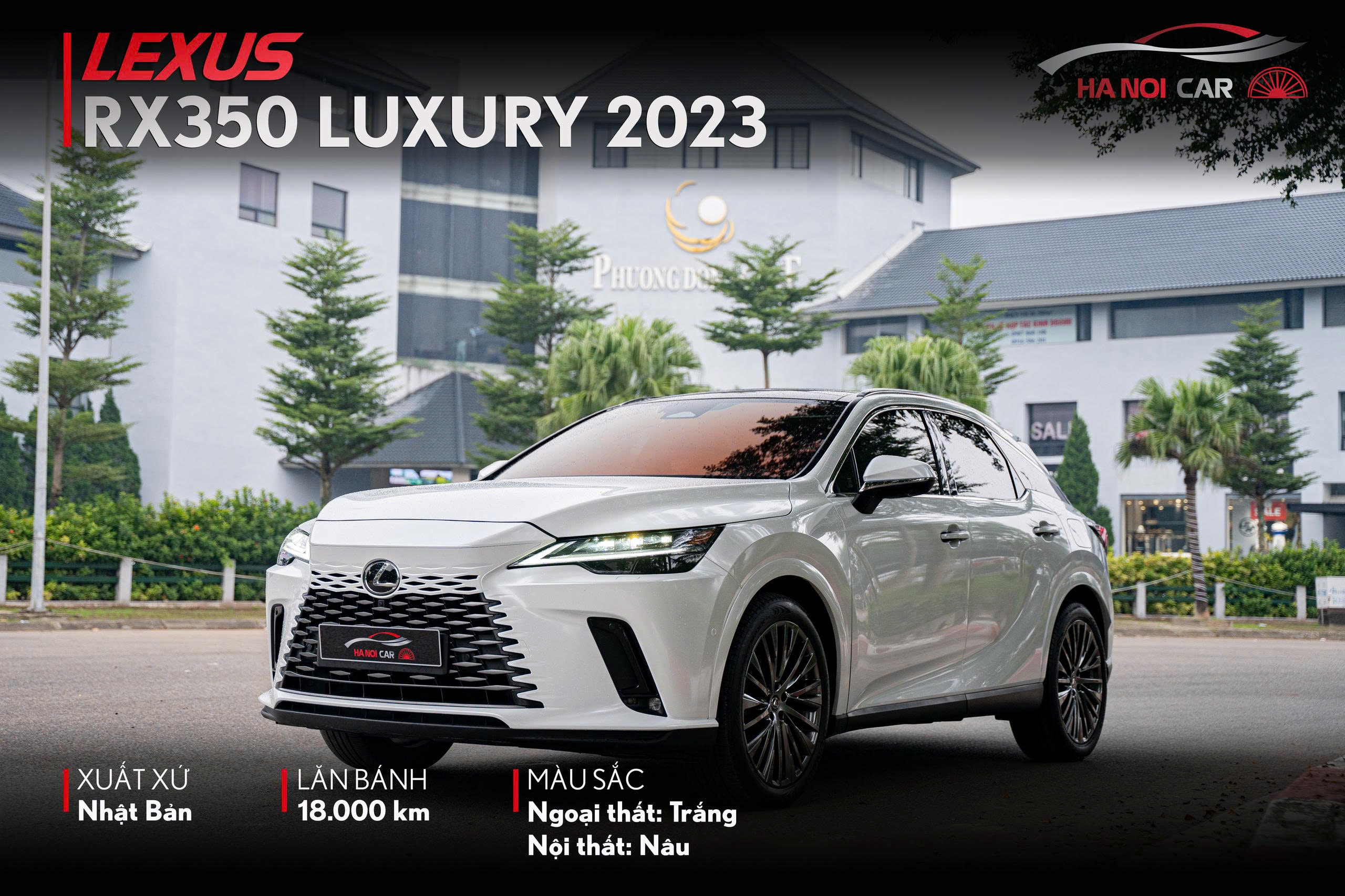 Lexus RX350 Luxury 2023