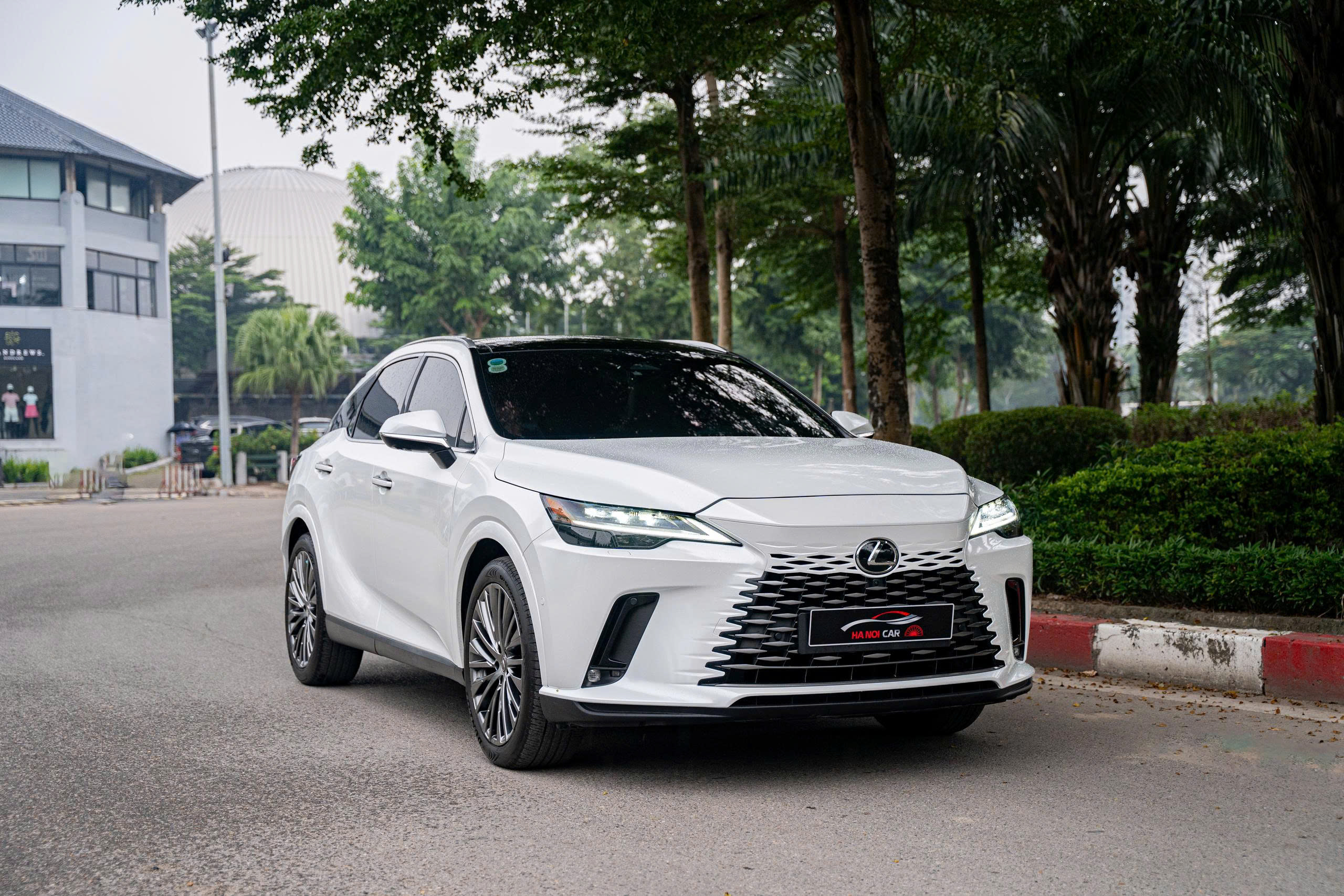 Lexus RX350 Luxury 2023a2