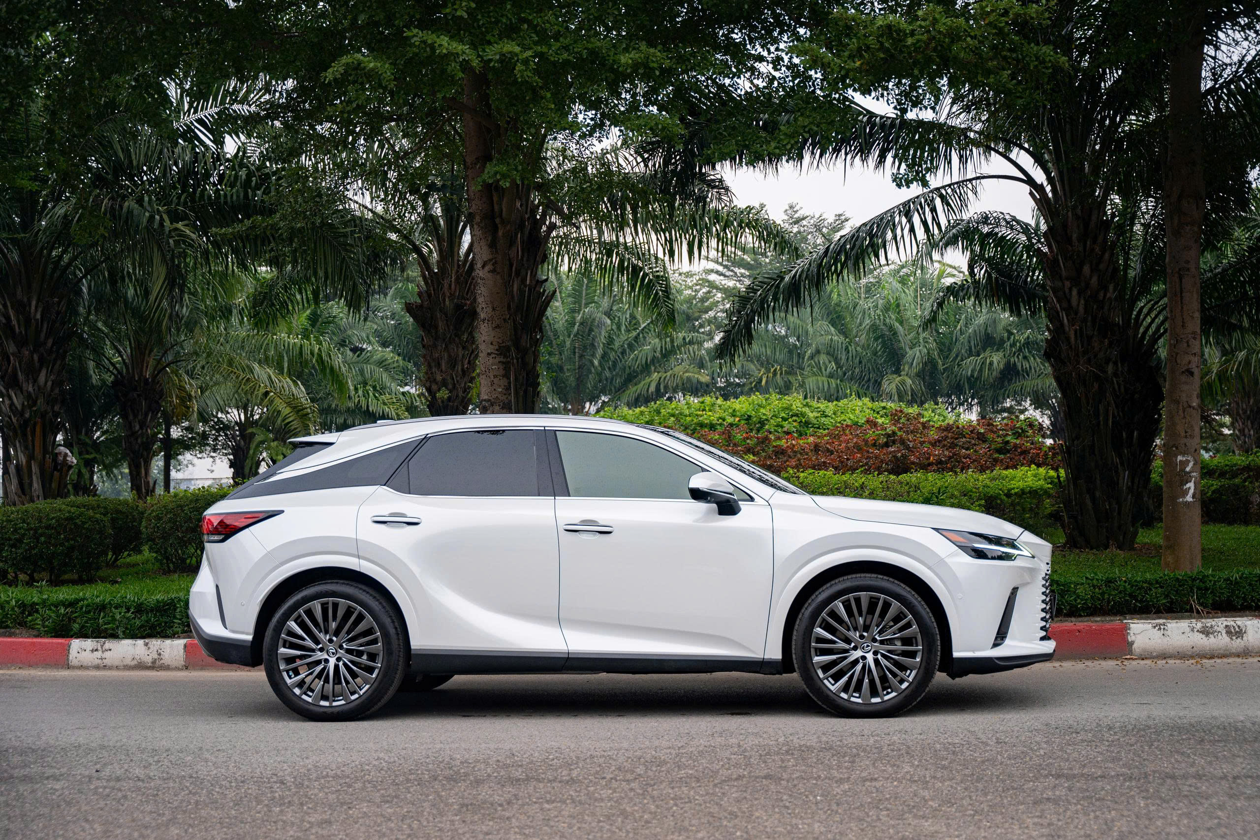 Lexus RX350 Luxury 2023a3