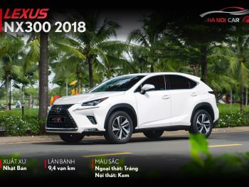 nx300