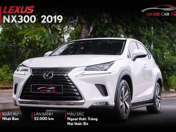 Lexus NX300 2019