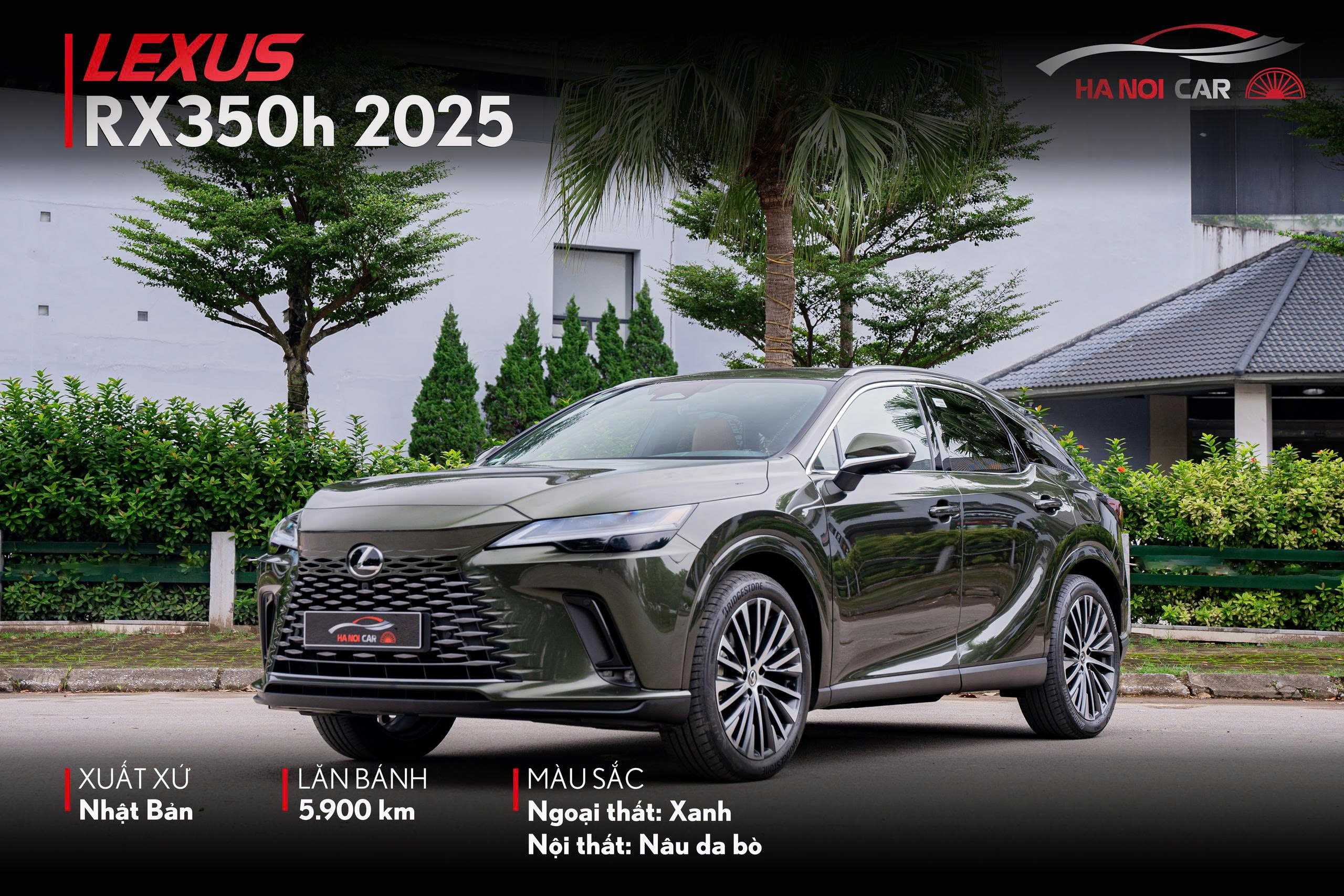 Lexus RX350h 2025