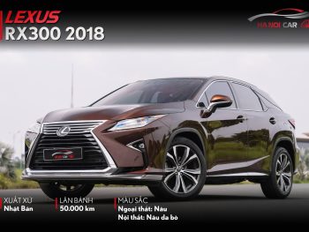 RX300 hnc