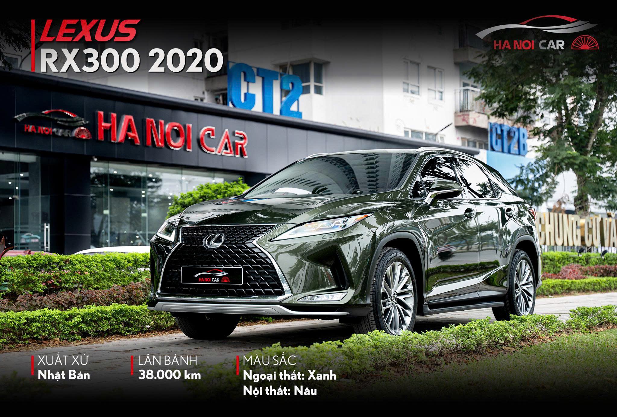 Lexus RX300 2020