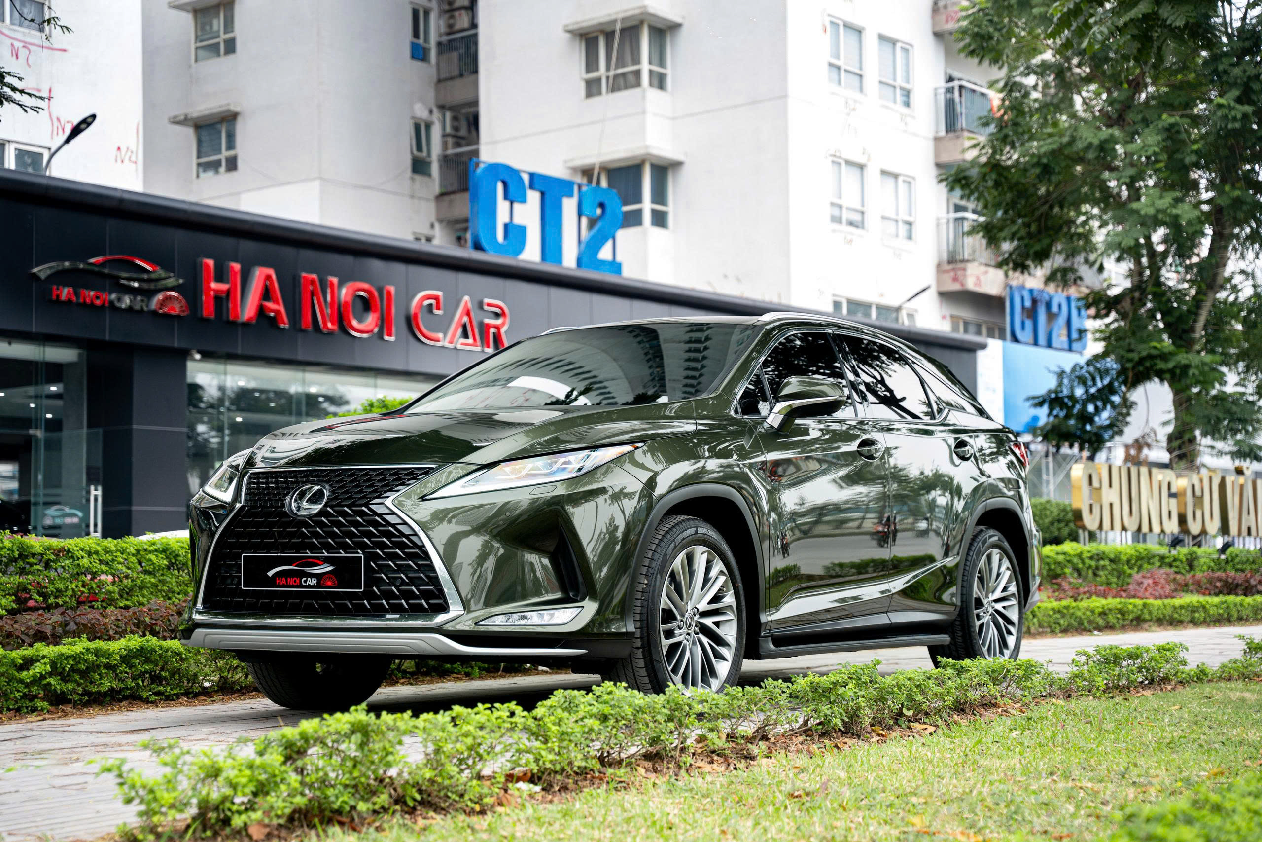 Lexus RX300 2020a1