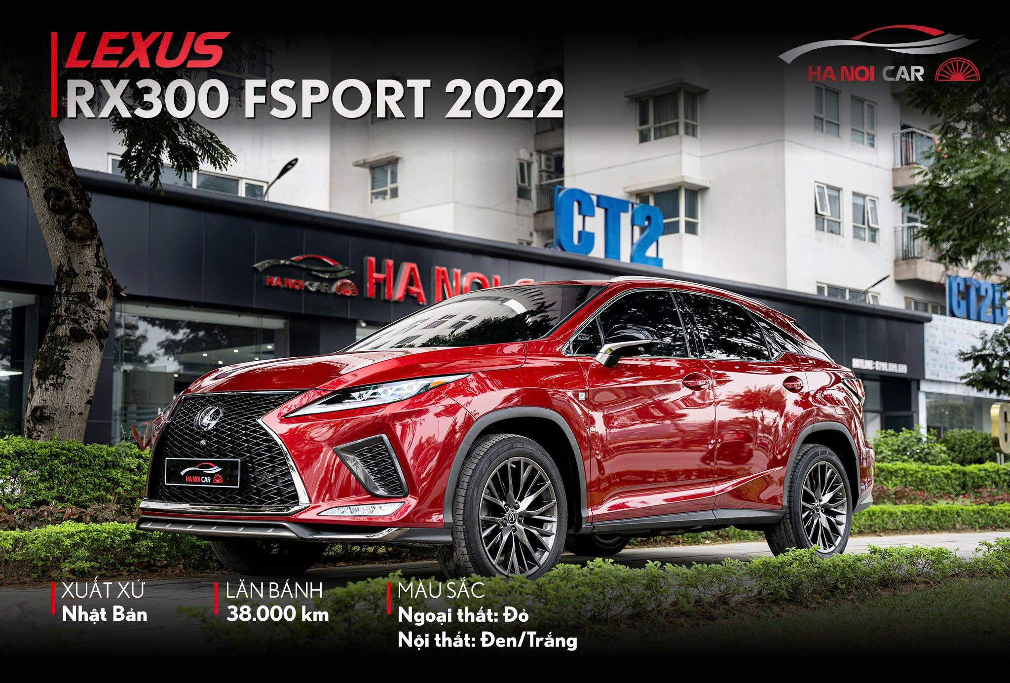 Lexus RX300 Fsport 2022