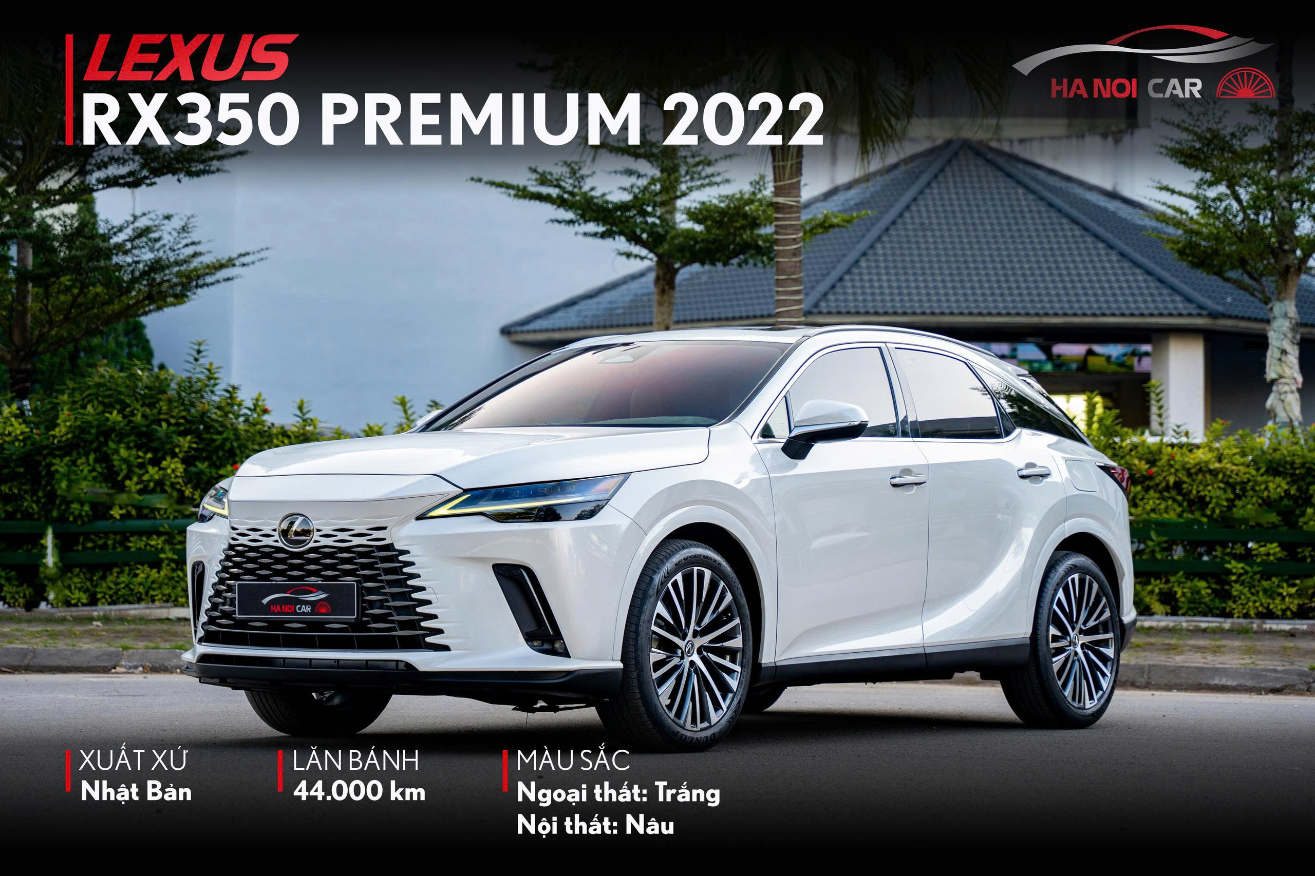 Lexus RX350 Premium 2022