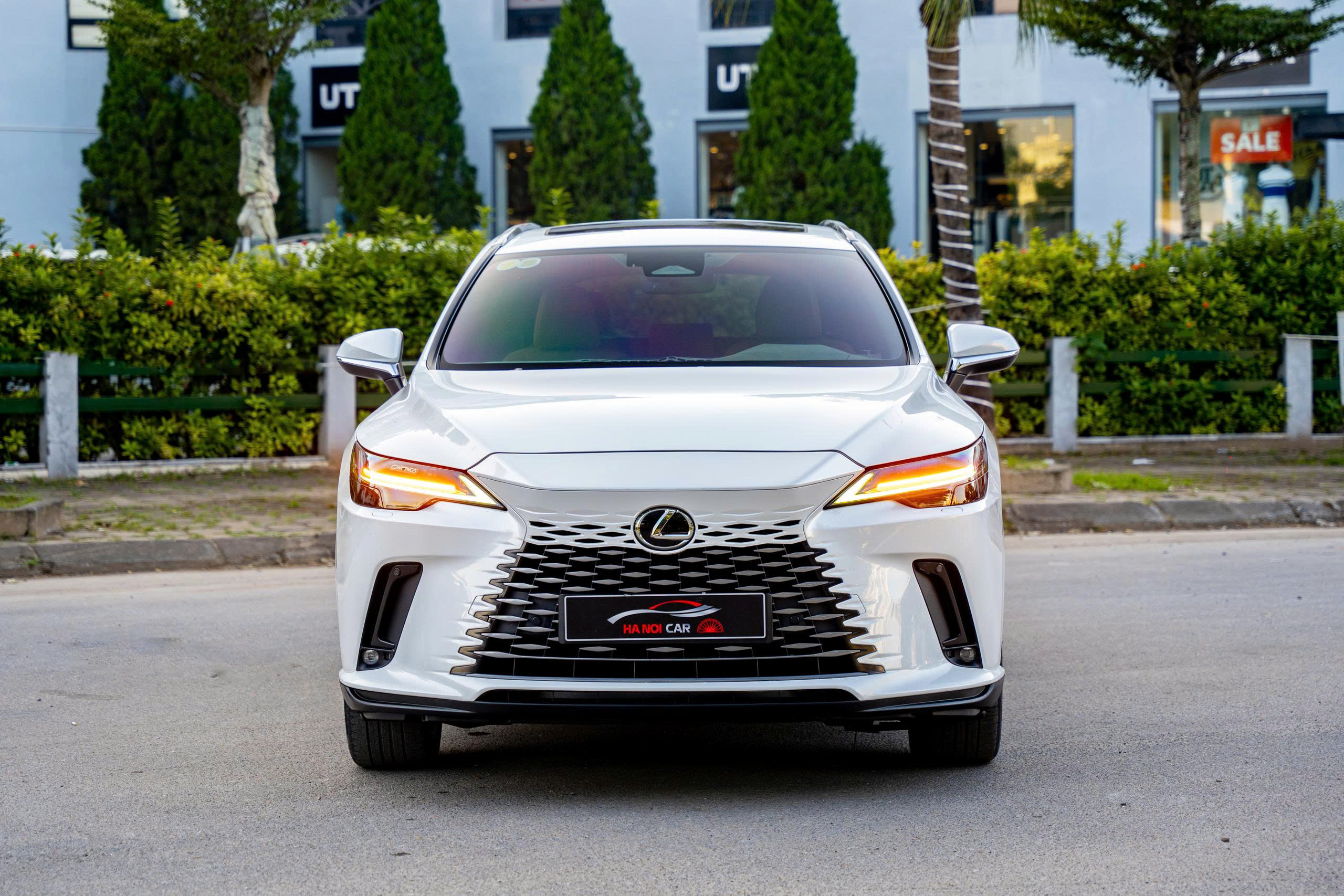 Lexus RX350 Premium 2022a5