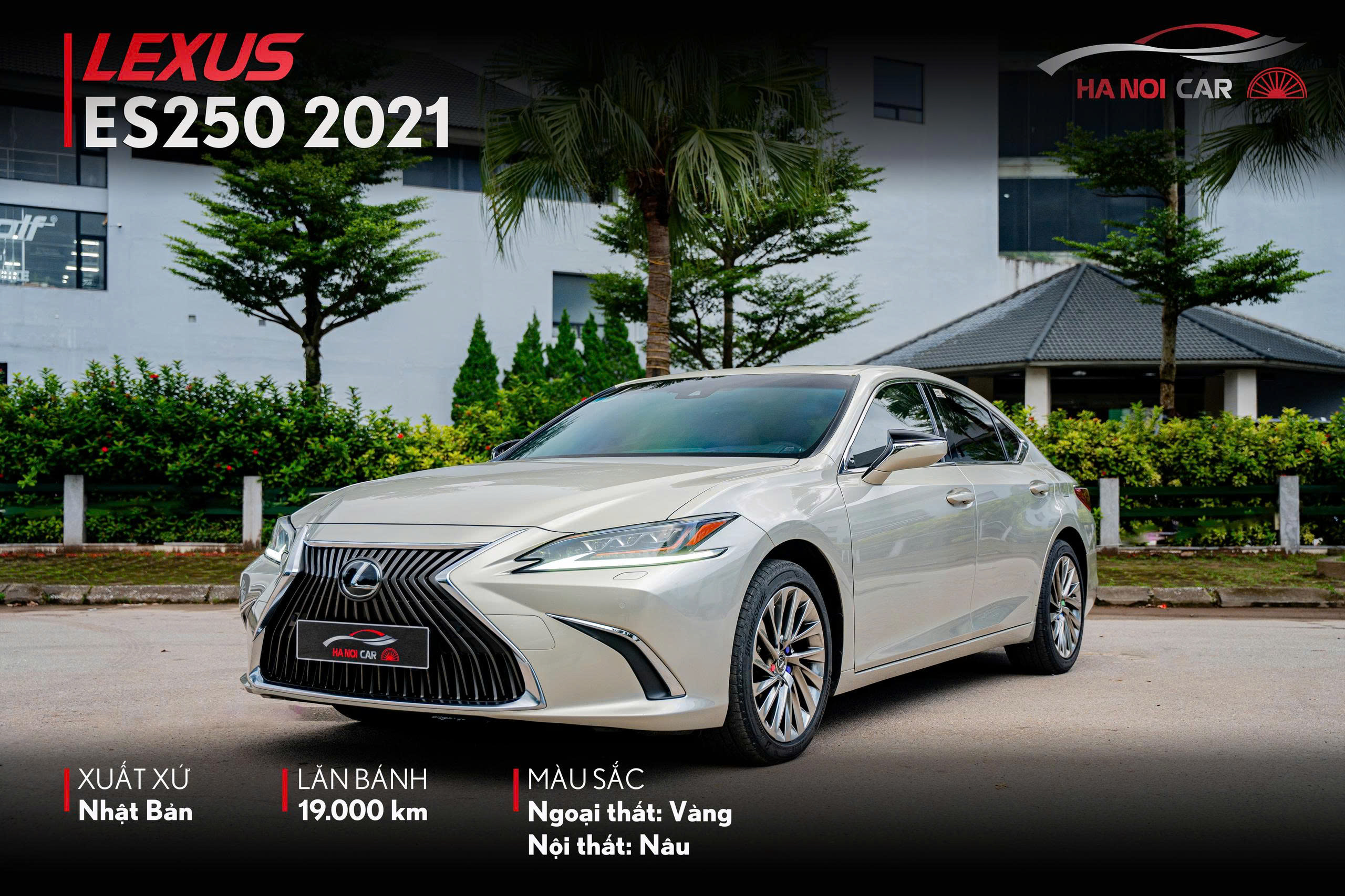 Lexus ES250 2021