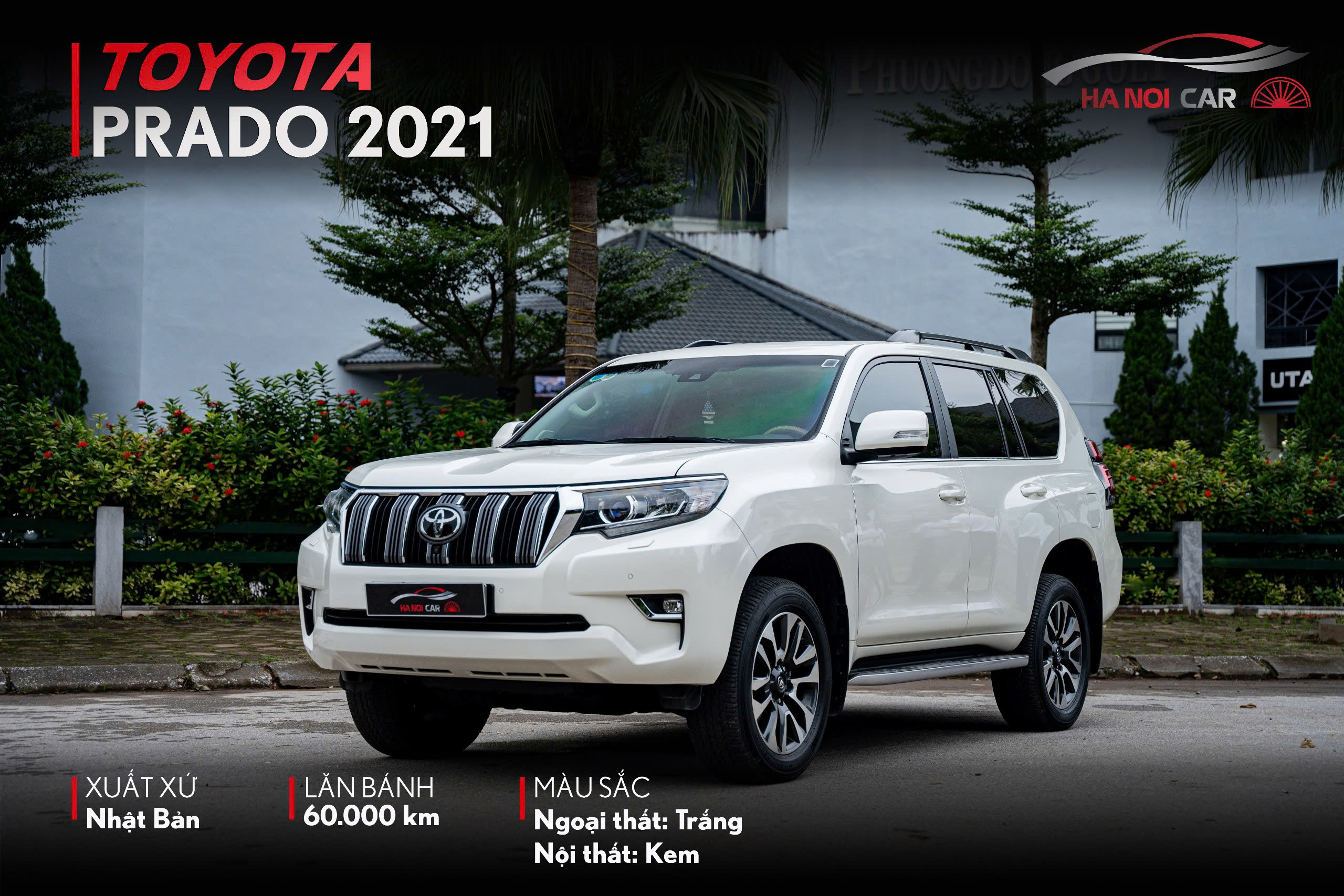 Toyota Prado 2021 Toyota Prado 2021
