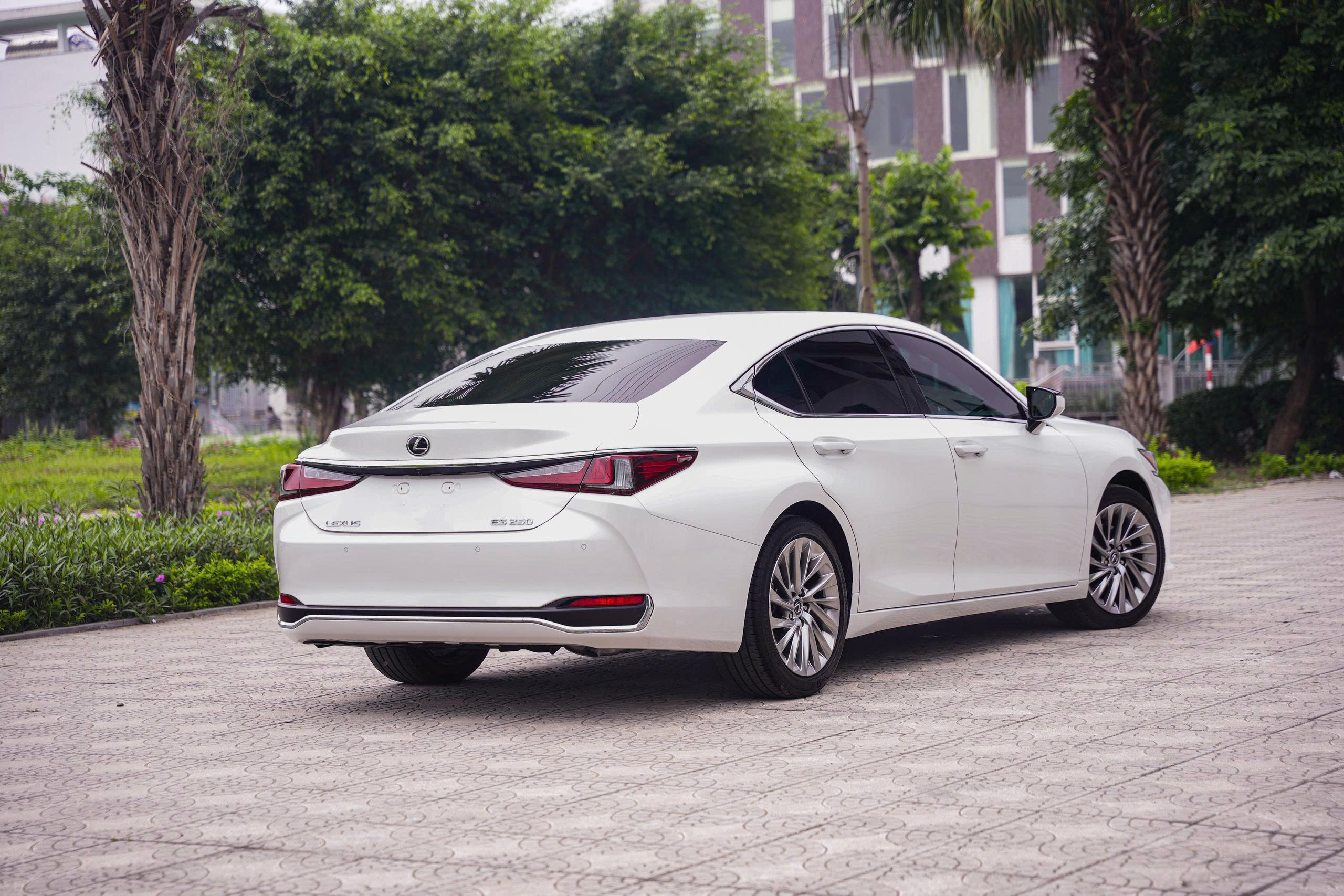 Lexus ES250 2020a3