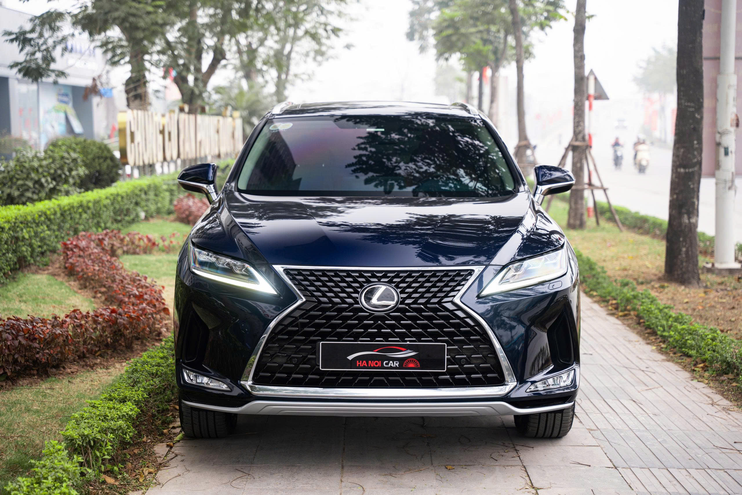 Lexus RX300 2020a1