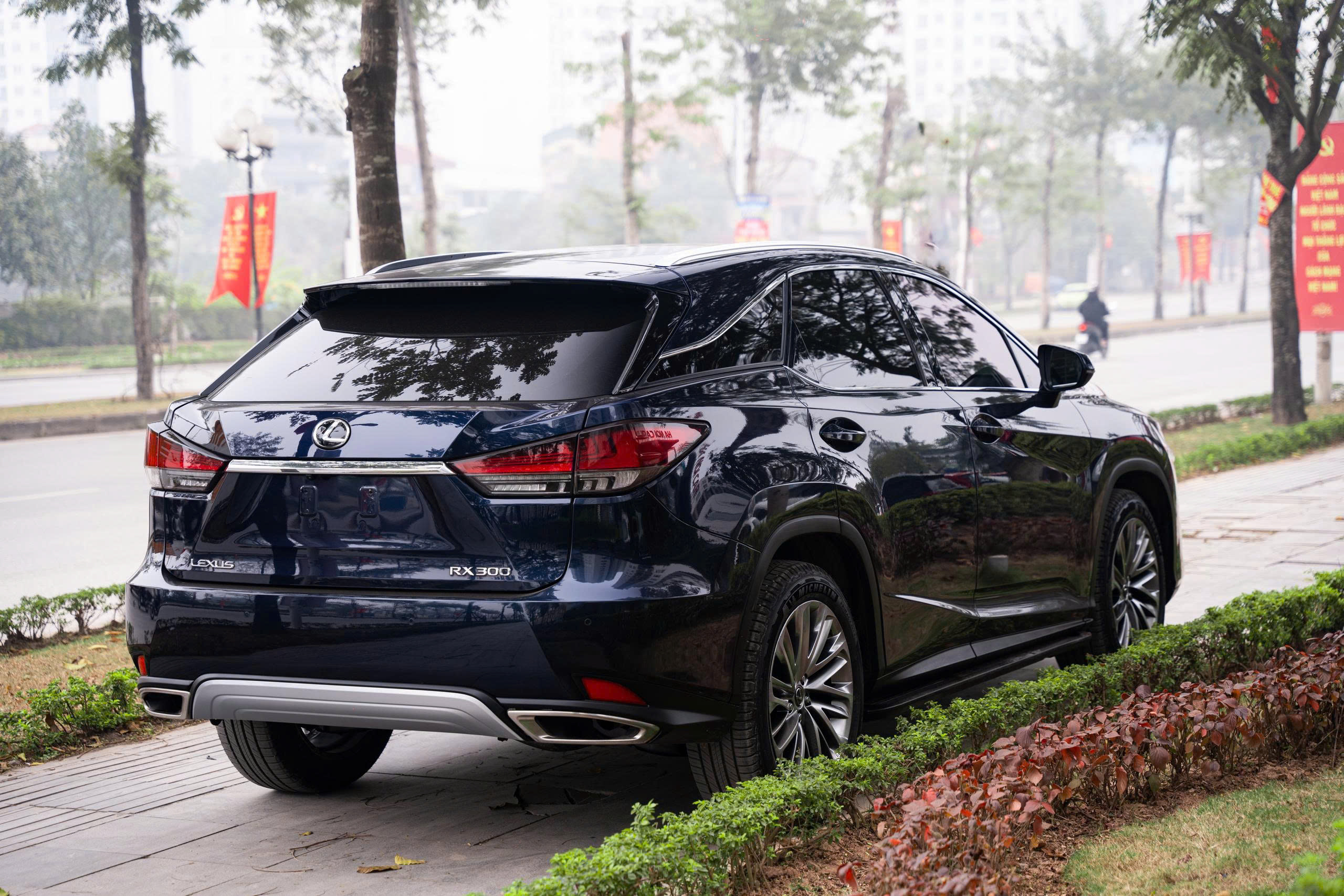 Lexus RX300 2020a3