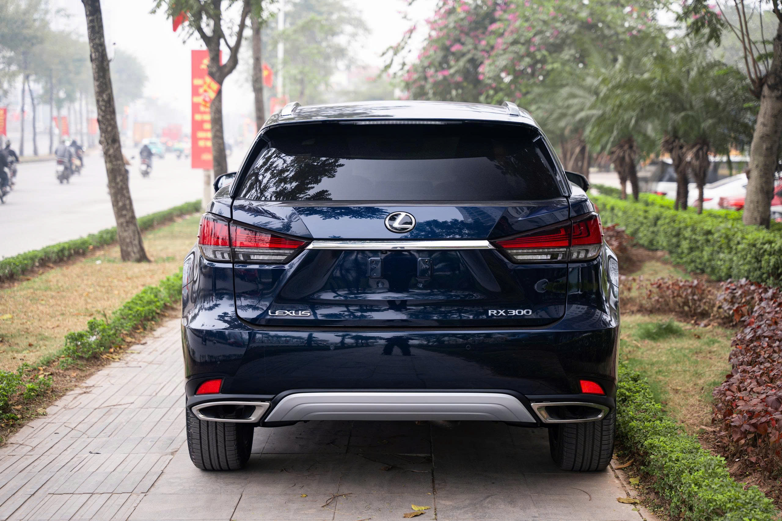 Lexus RX300 2020a4