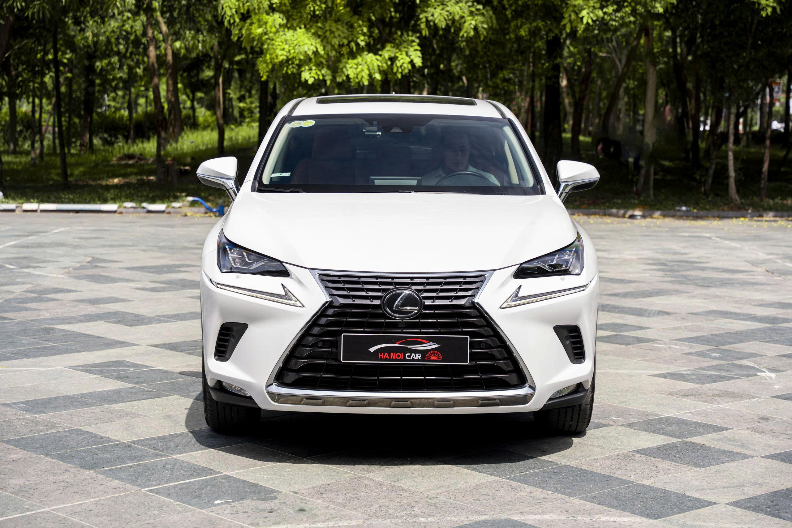 Lexus NX300 2021a1