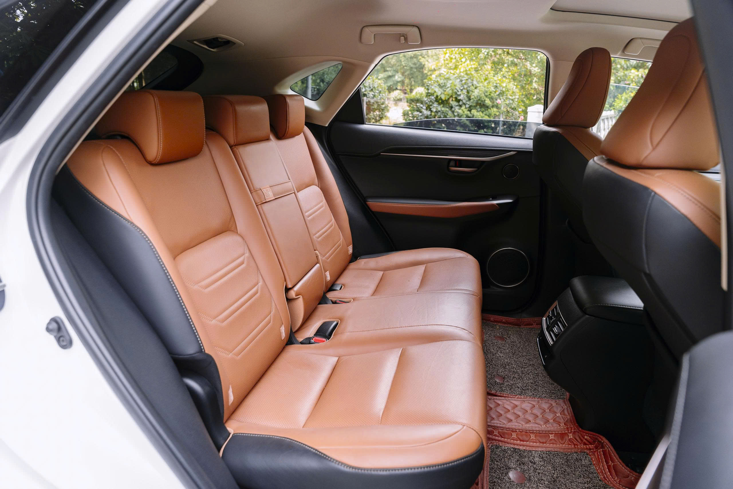 Lexus NX300 2021a9