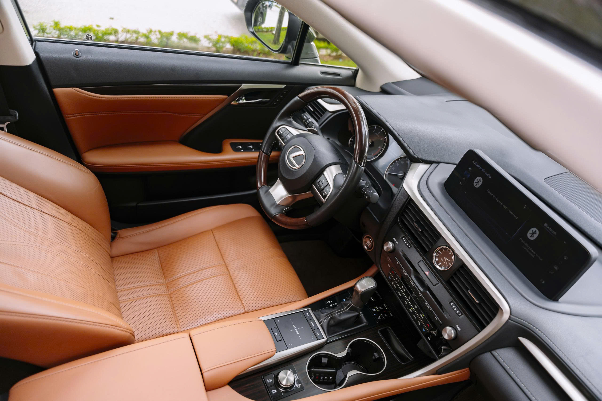 Lexus RX300 2022a12