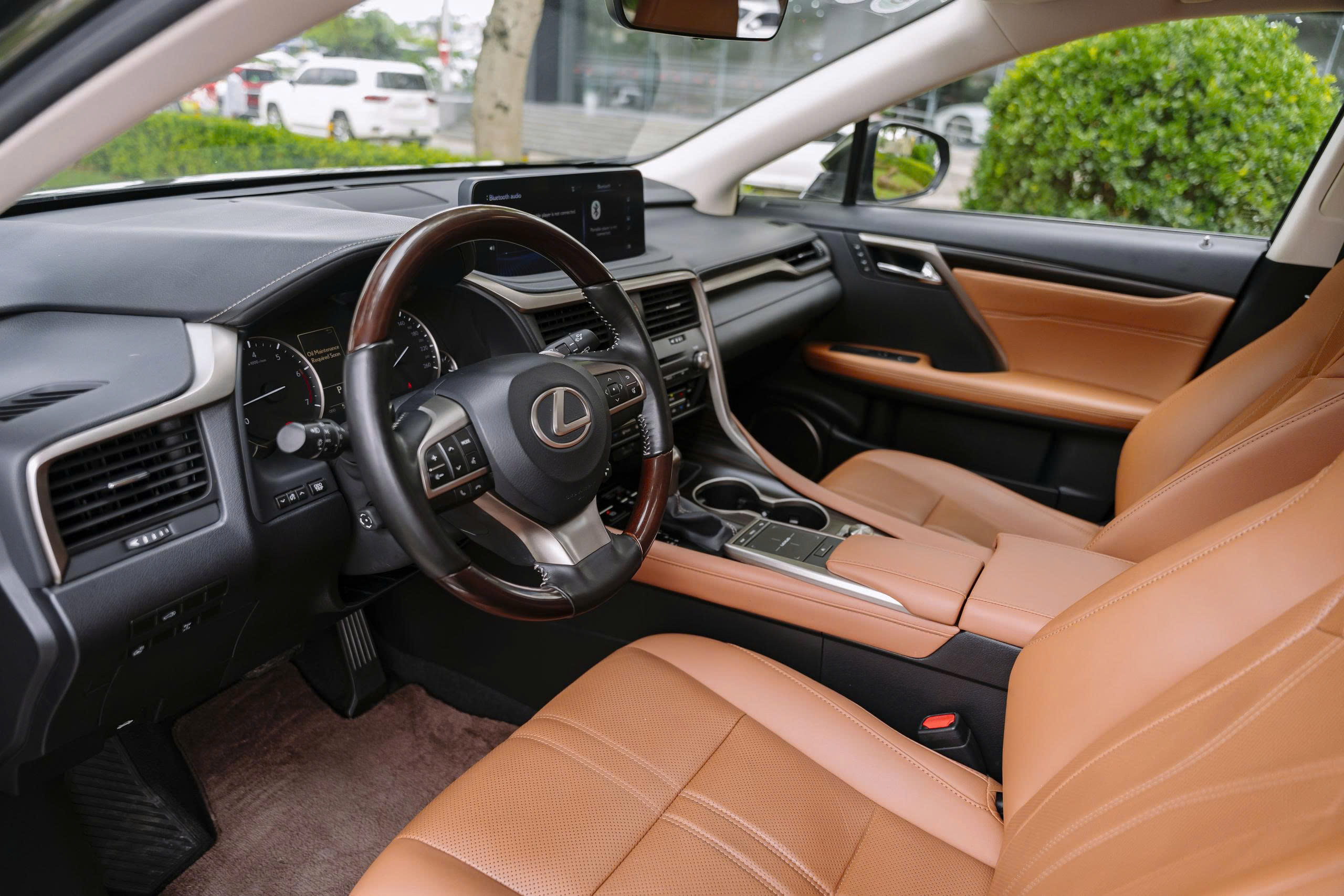 Lexus RX300 2022a8