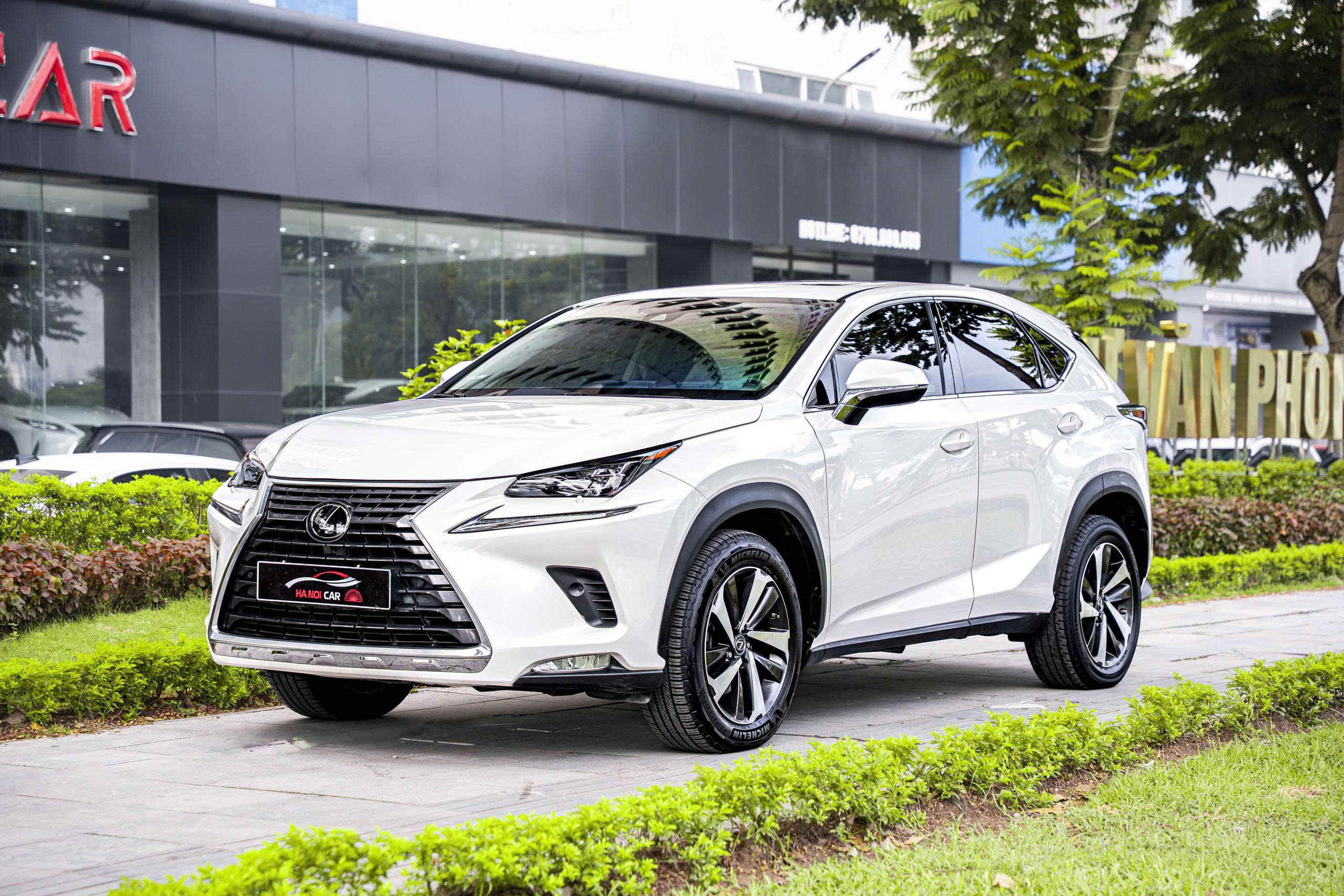 Lexus NX300 2020