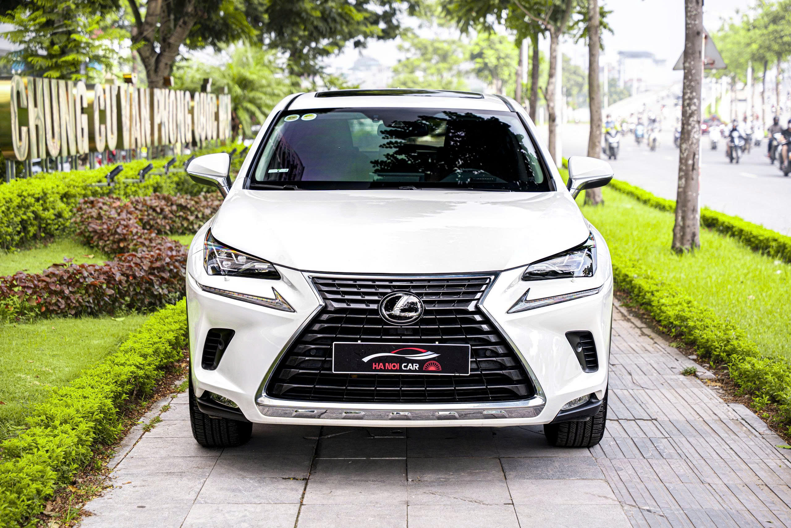 Lexus NX300 2020a1
