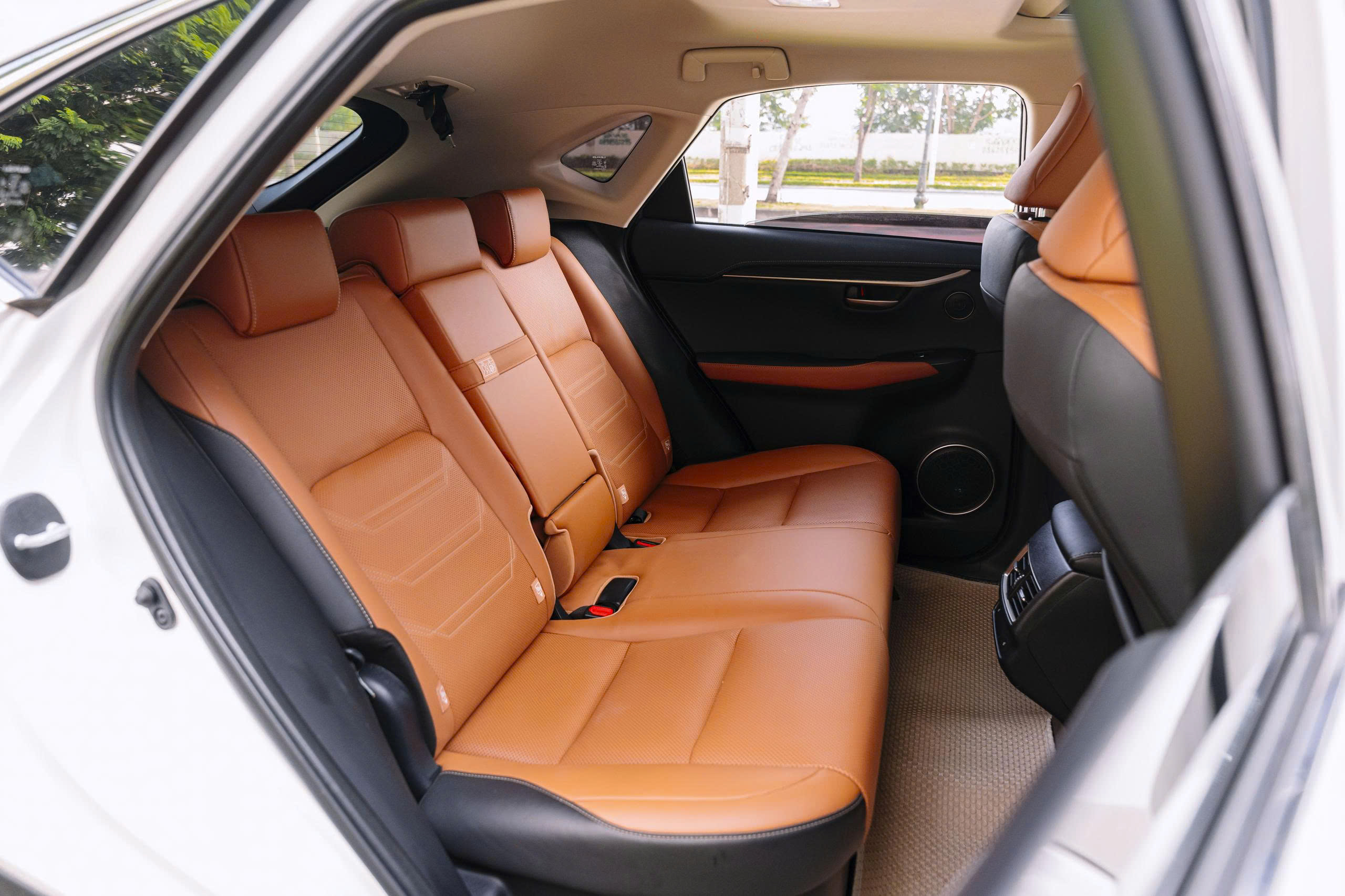 Lexus NX300 2020a10