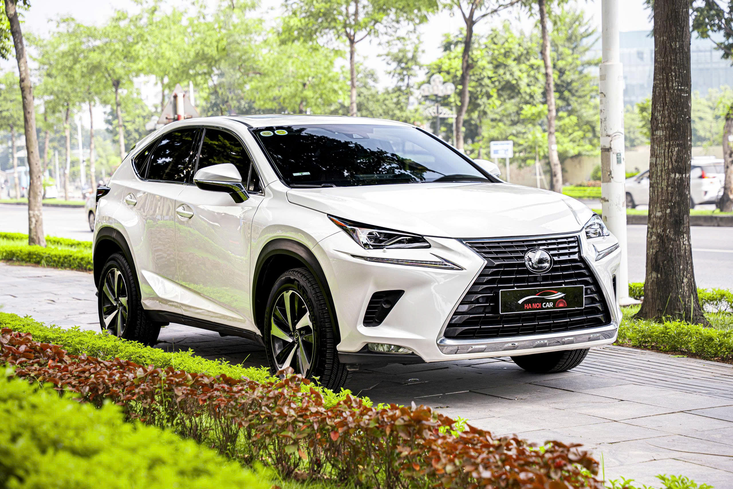 Lexus NX300 2020a2