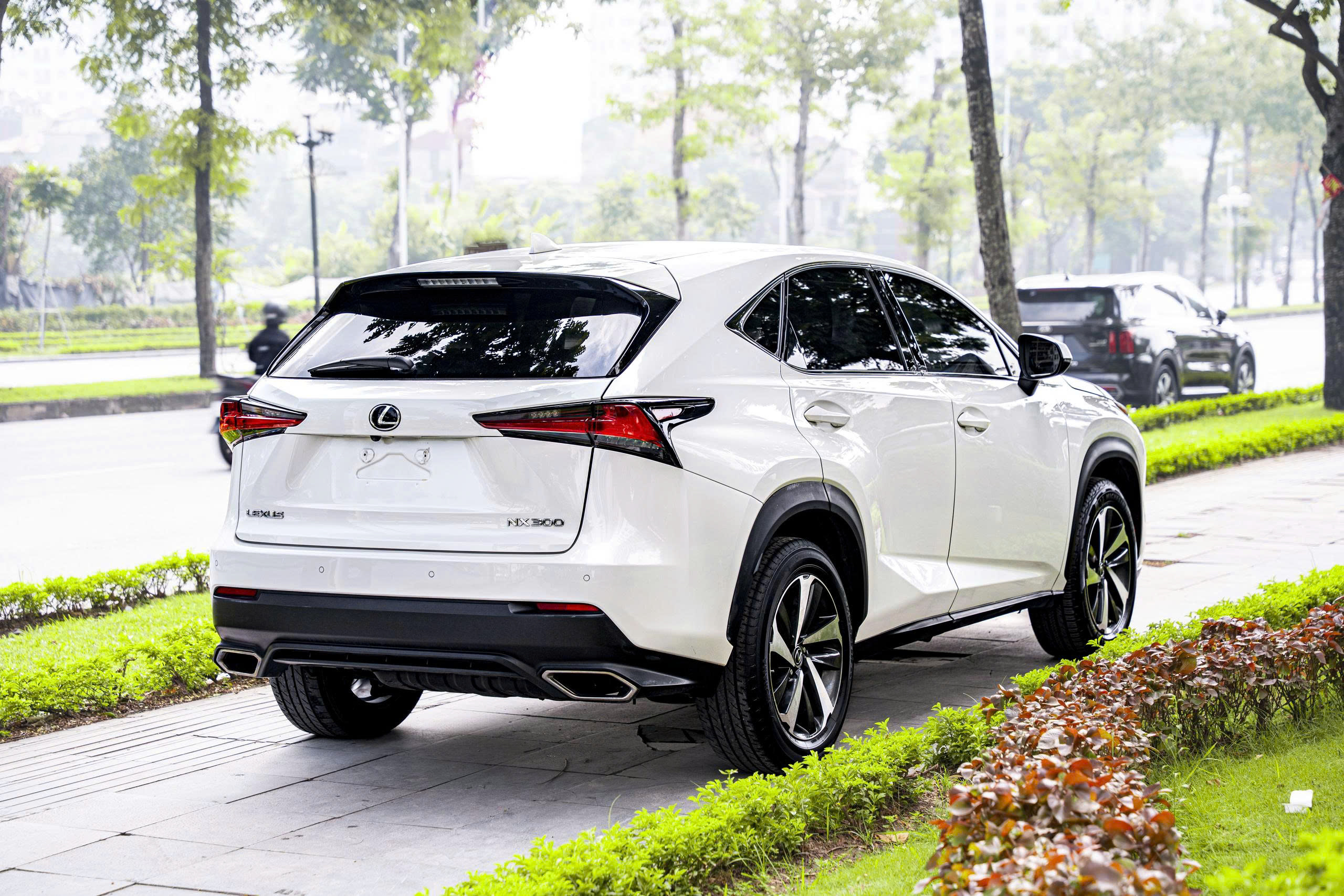 Lexus NX300 2020a5